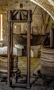 Manufacturing process cold pressing oils